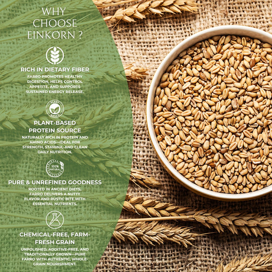DFOLS Organic Einkorn | Natural, High-Protein, Fiber-Rich, Pesticide-Free Superfood | Premium Whole Grain for Healthy Cooking