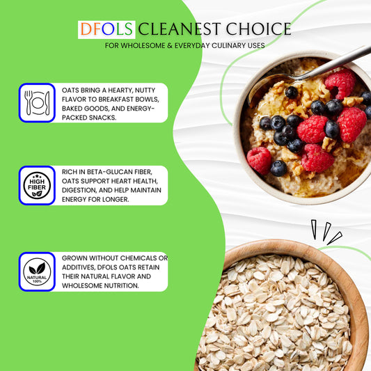 DFOLS Oats Whole Grain Mild Nutty Cooking 0.55lb 8.82oz 250g オーツ麦