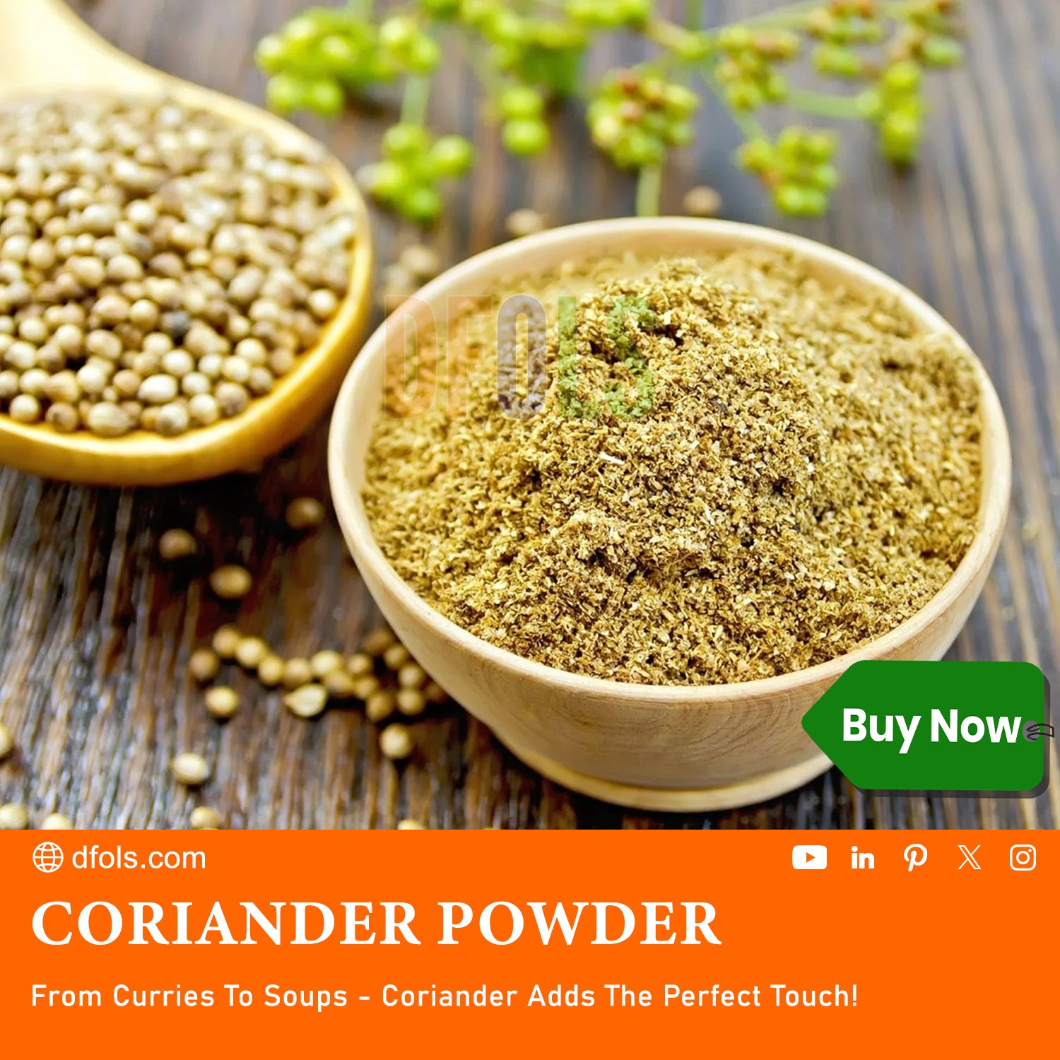 Premium Coriander Powder – Fresh, Aromatic & Flavorful Spice for Cooking, Curries, Soups & Sauces | Pure & Natural Essential Pantry Staple - DFOLS