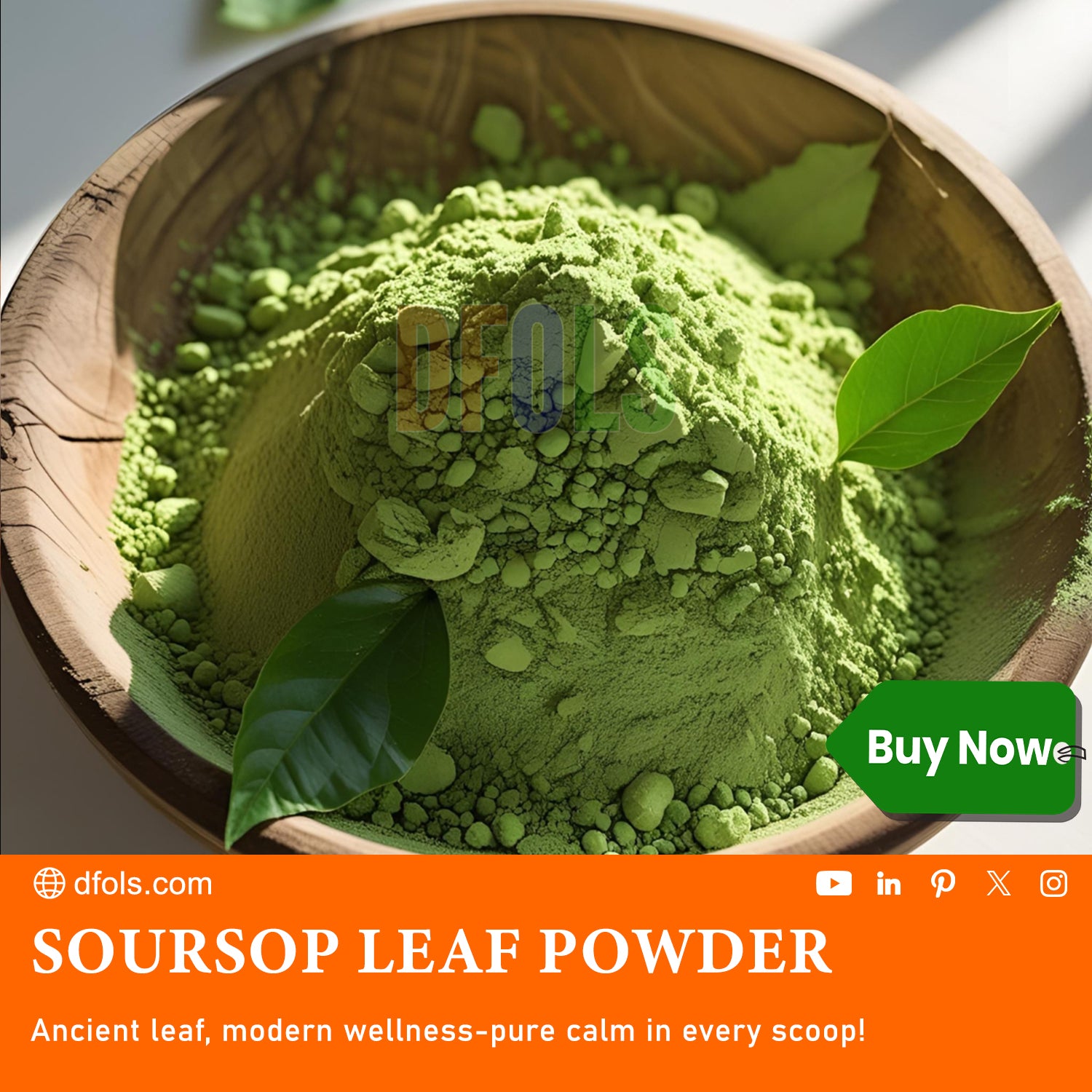 Soursop Leaf Powder – 100% Natural Graviola Leaf Powder for Tea & Wellness (4 oz Jar) – Non-GMO, Gluten-Free, Vegan, Herbal Superfood - DFOLS