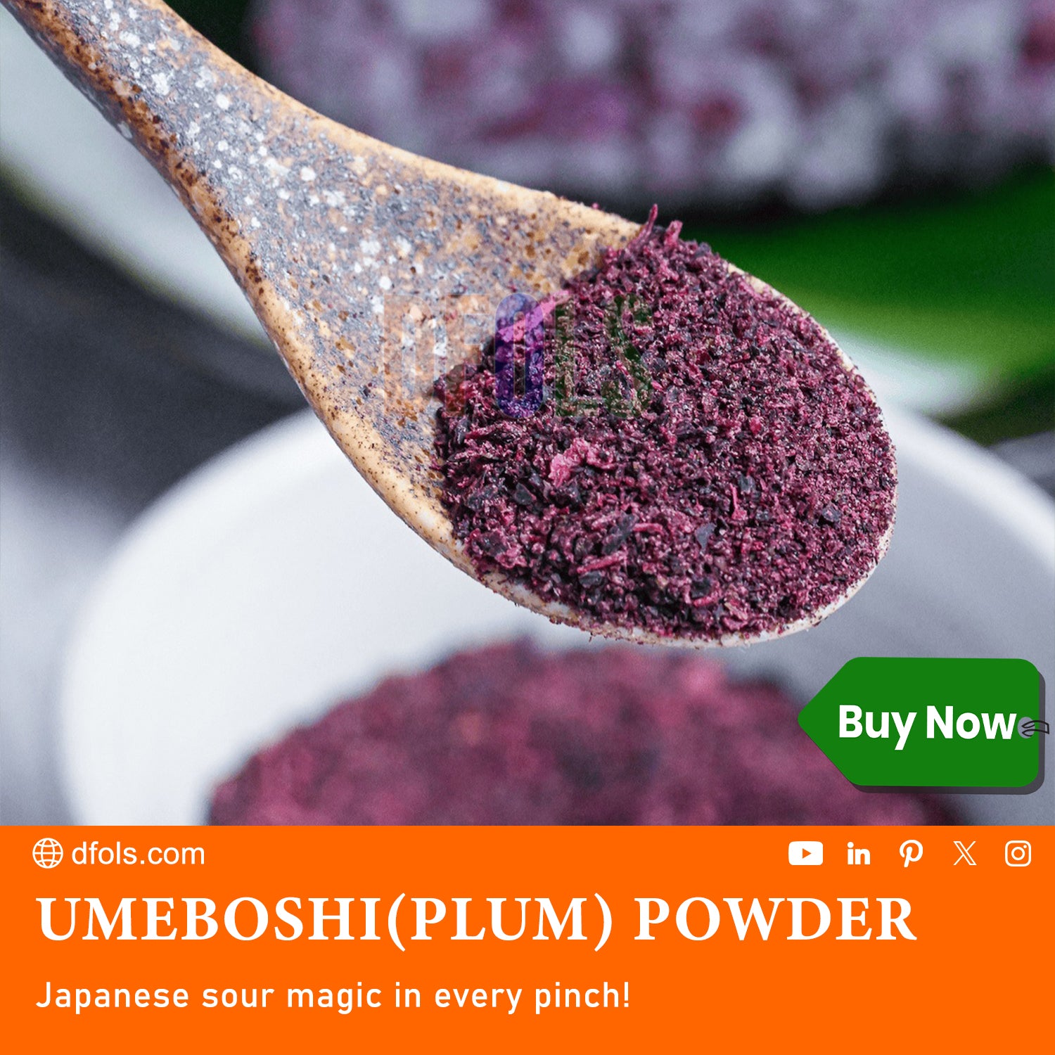 Umeboshi Plum Powder – Tangy, Salty Japanese Seasoning for Rice, Soups, Salads, Snacks & Bento | Natural Flavor Enhancer for Cooking & Topping - DFOLS