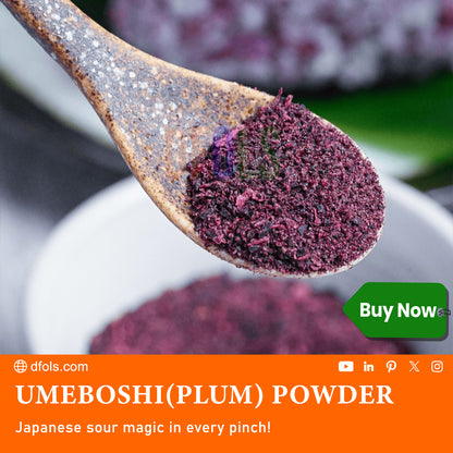 Umeboshi Plum Powder – Tangy, Salty Japanese Seasoning for Rice, Soups, Salads, Snacks & Bento | Natural Flavor Enhancer for Cooking & Topping - DFOLS