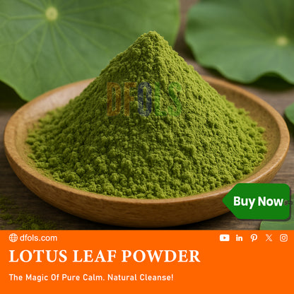 Organic Lotus Leaf Powder | 100% Pure Natural Herbal Supplement for Weight Loss, Detox & Digestive Health | Metabolism Booster for Overall Wellness - DFOLS