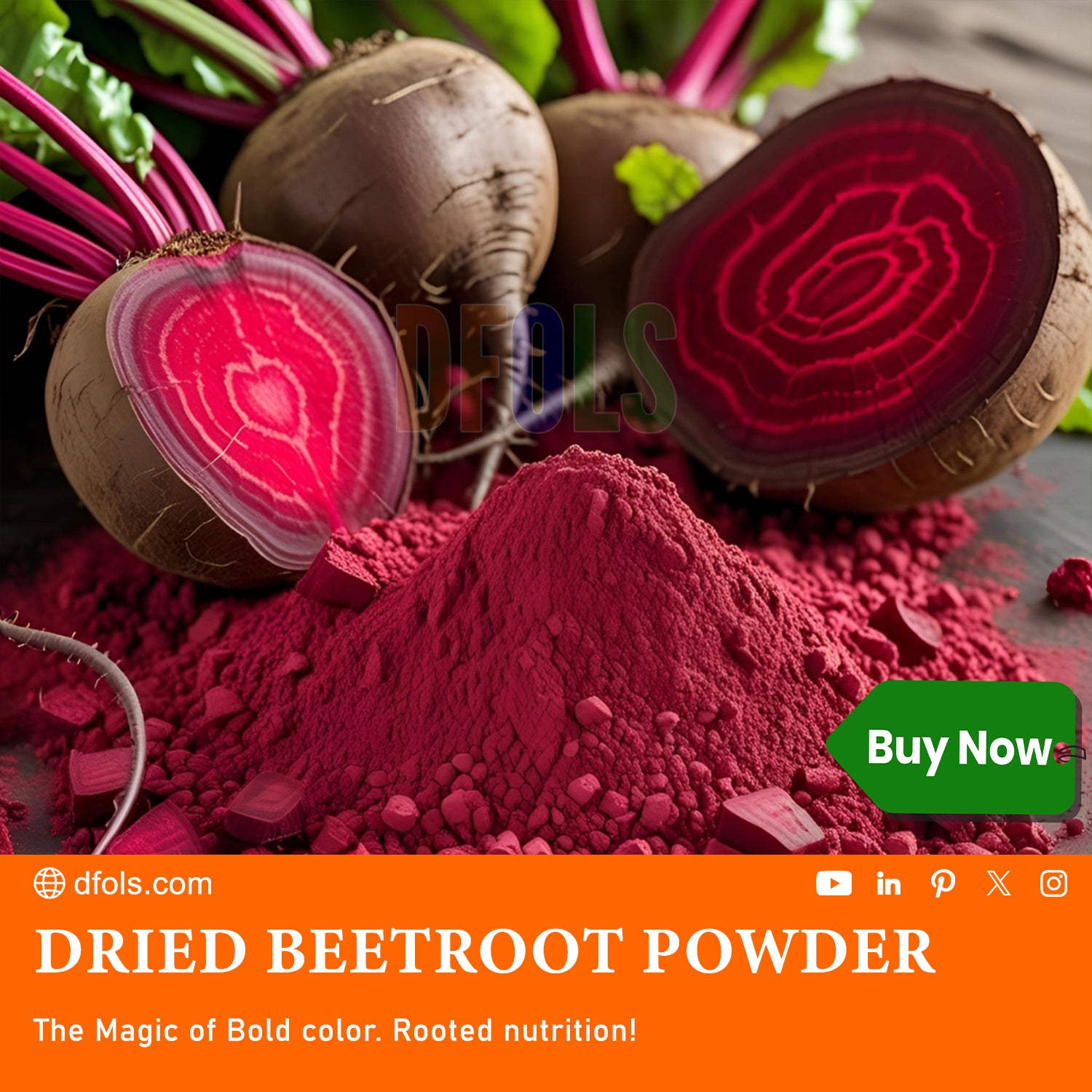 Natural Dried Beetroot Powder - Antioxidant-Rich Superfood for Health and Wellness - Supports Heart Health, Detox, and Athletic Performance - DFOLS