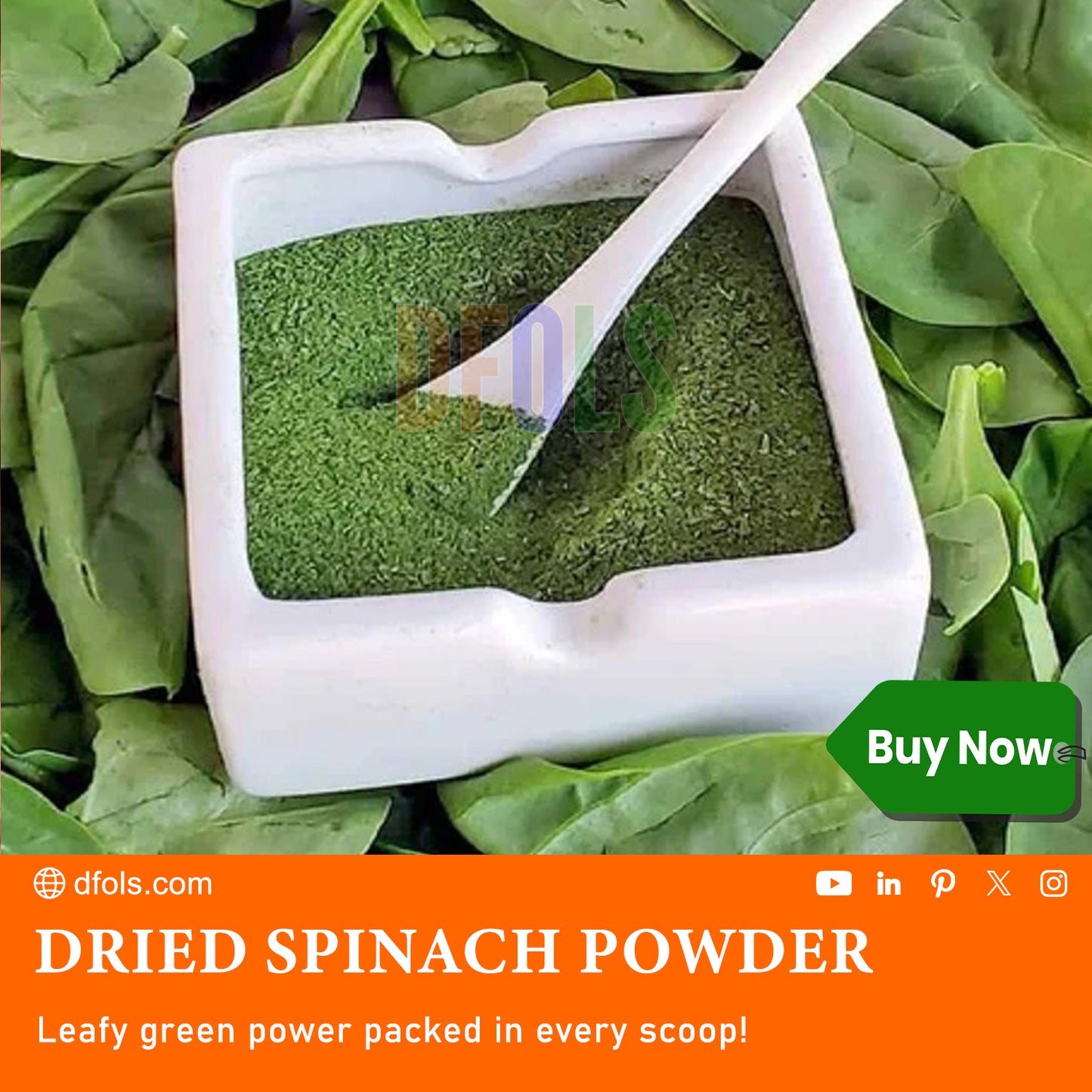 Organic Dried Spinach Powder | Nutrient-Rich Superfood | High in Iron & Antioxidants | Ideal for Smoothies, Cooking, Baking, Juices & Supplements | Pure, Natural, Vegan, Gluten-Free
