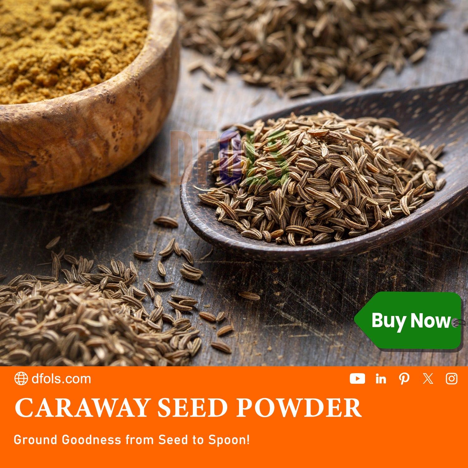 Caraway Seeds - 100% organic ,Ground  ingredient in harissa, great for rye bread, pickles, sauces and spice blends. - DFOLS