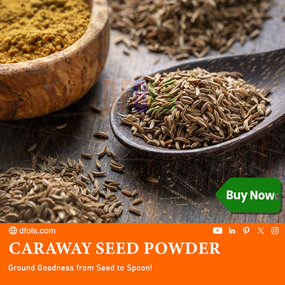 Caraway Seeds - 100% organic ,Ground  ingredient in harissa, great for rye bread, pickles, sauces and spice blends. - DFOLS