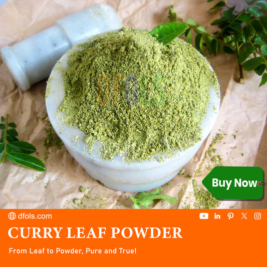 Curry Leaves Whole & Dried | 100% Natural, Pure, Hand-Made, Wildcrafted | No Additives, Gluten-Free, Vegan | Premium Indian Spice for Cooking, Seasoning & Authentic Flavour - DFOLS
