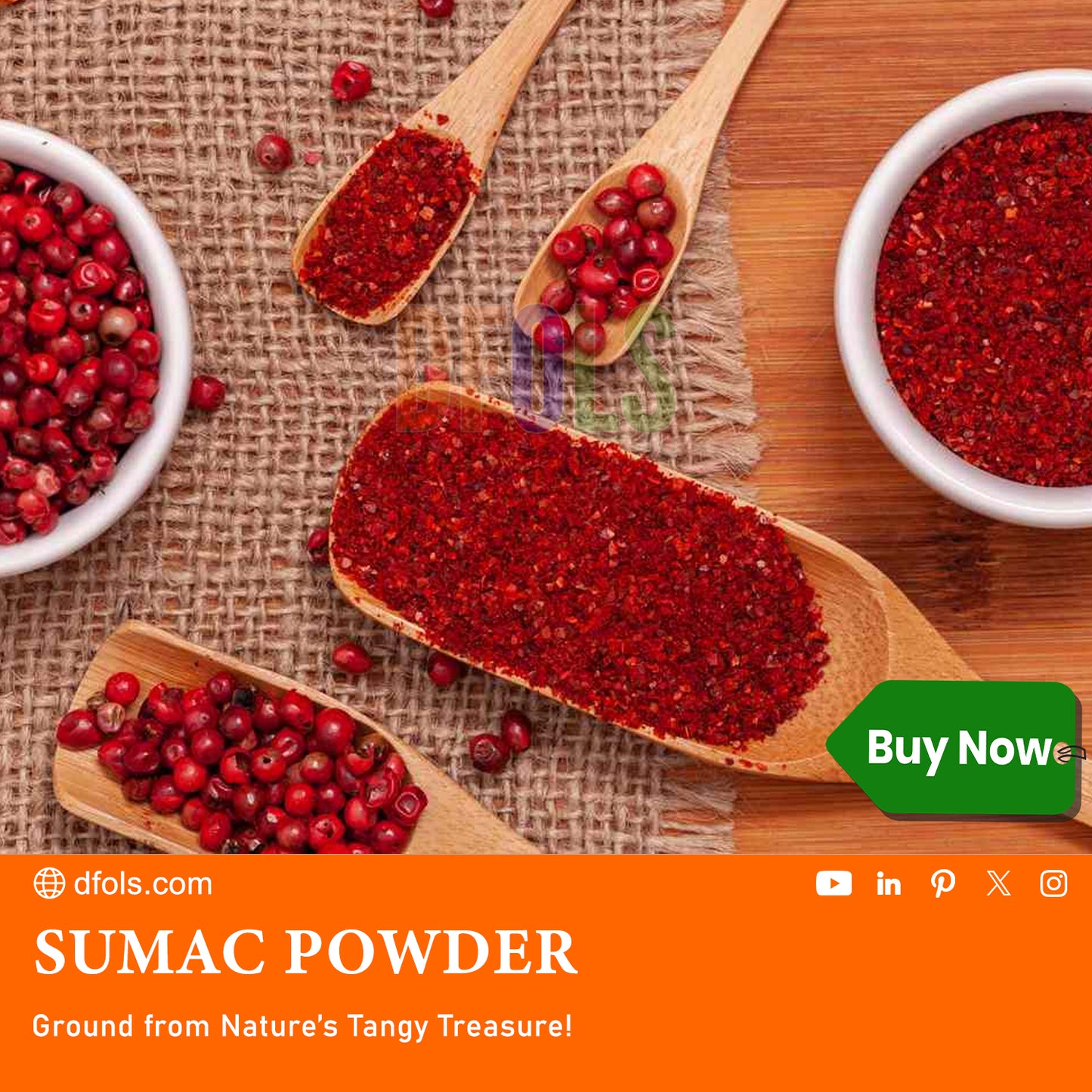 Organic Sumac Powder 100% Pure | No Salt, Non-GMO, No Irradiation | Premium Tangy Spice for Cooking, Salads, Meat & Mediterranean Recipes | Natural Seasoning - DFOLS