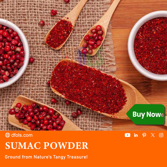 Organic Sumac Powder 100% Pure | No Salt, Non-GMO, No Irradiation | Premium Tangy Spice for Cooking, Salads, Meat & Mediterranean Recipes | Natural Seasoning - DFOLS