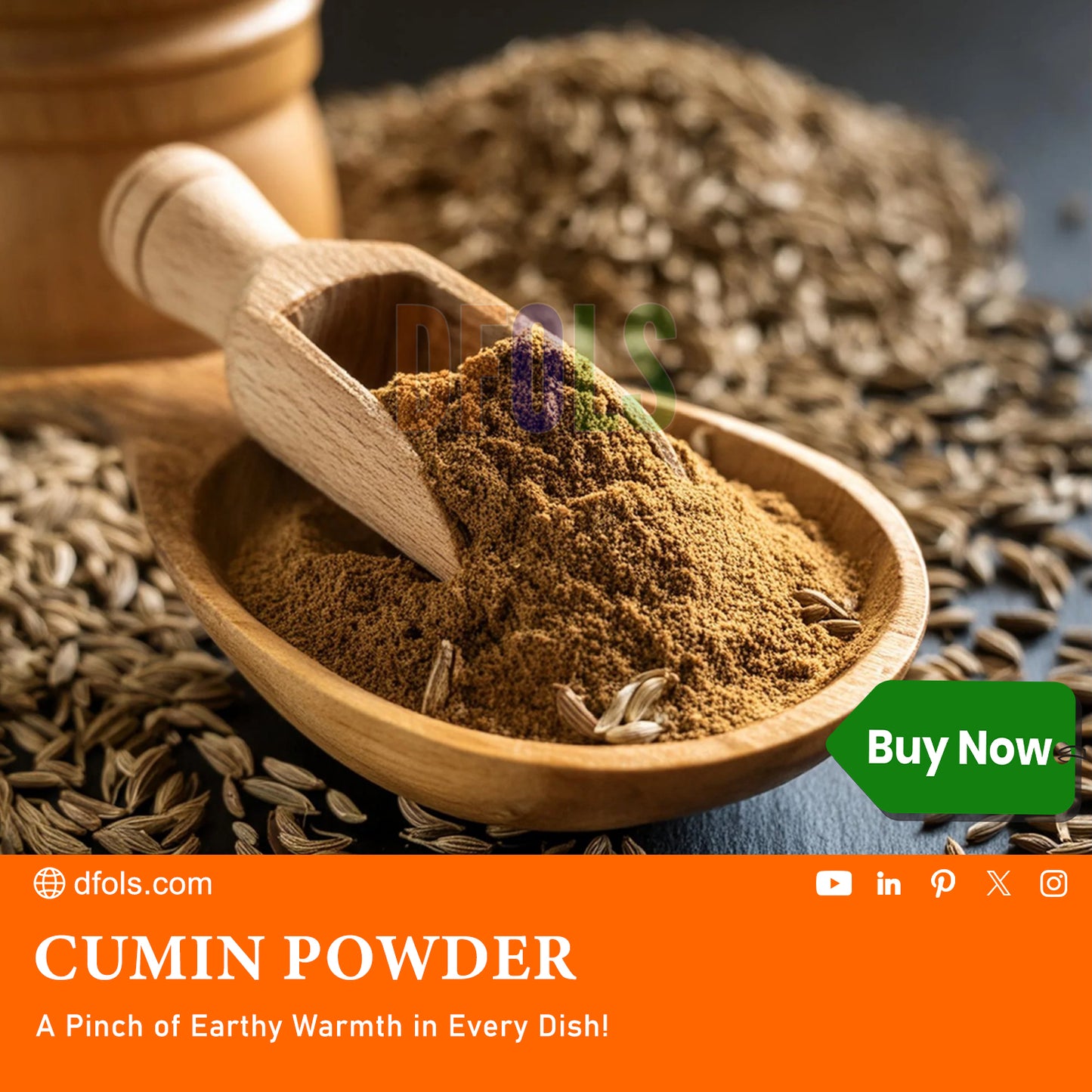 Premium Cumin Powder (Jeera) | Pure, Fresh & Aromatic | Perfect for Curries, Soups, Stews, Baking & Drinks | Rich Earthy Flavor | Ideal for Daily Cooking & Home Remedies - DFOLS
