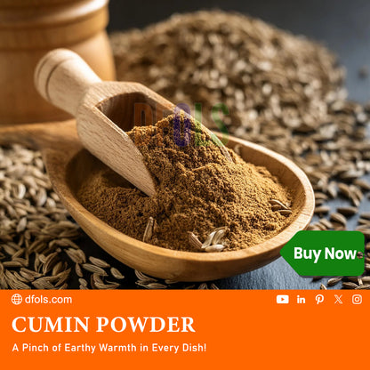 Premium Cumin Powder (Jeera) | Pure, Fresh & Aromatic | Perfect for Curries, Soups, Stews, Baking & Drinks | Rich Earthy Flavor | Ideal for Daily Cooking & Home Remedies - DFOLS
