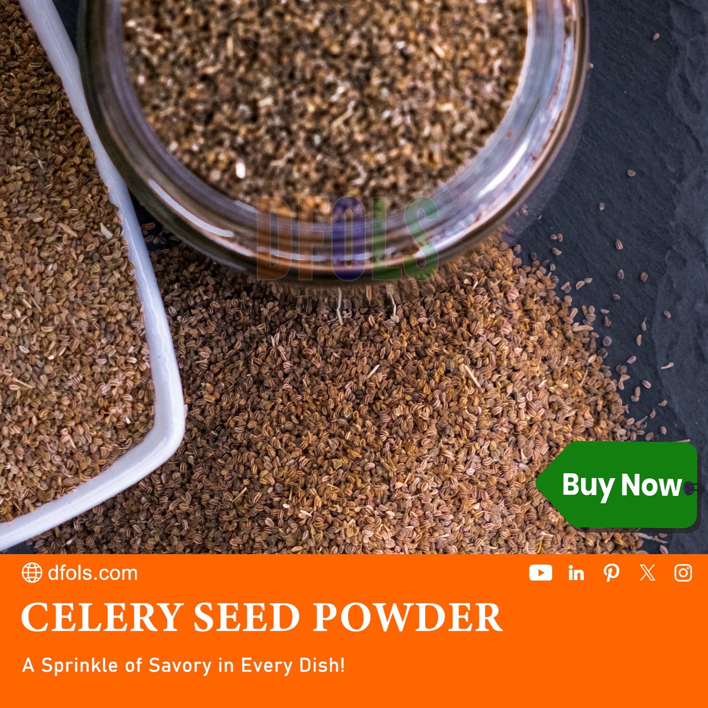 Premium Natural Celery Powder | Antioxidant & Fiber Rich | GMO Free, No Additives, Vegan | Ideal for Juicing, Smoothies & Detox - DFOLS