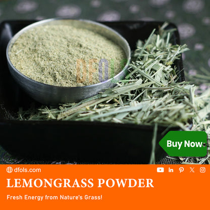 Lemongrass Powder  freshly ground dried herb. Used for cooking and tea. - DFOLS