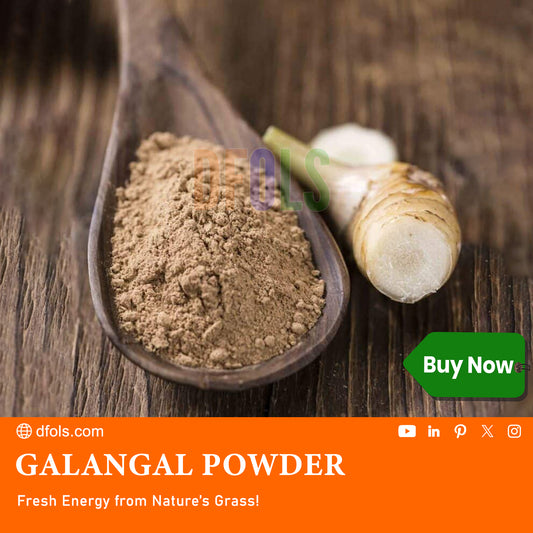 Premium Galangal Powder – Authentic Galanga Spice Seasoning for Thai, Indonesian & Malaysian Dishes | Aromatic Root Powder for Curries, Soups, Stir-Fries & Asian Recipes - DFOLS