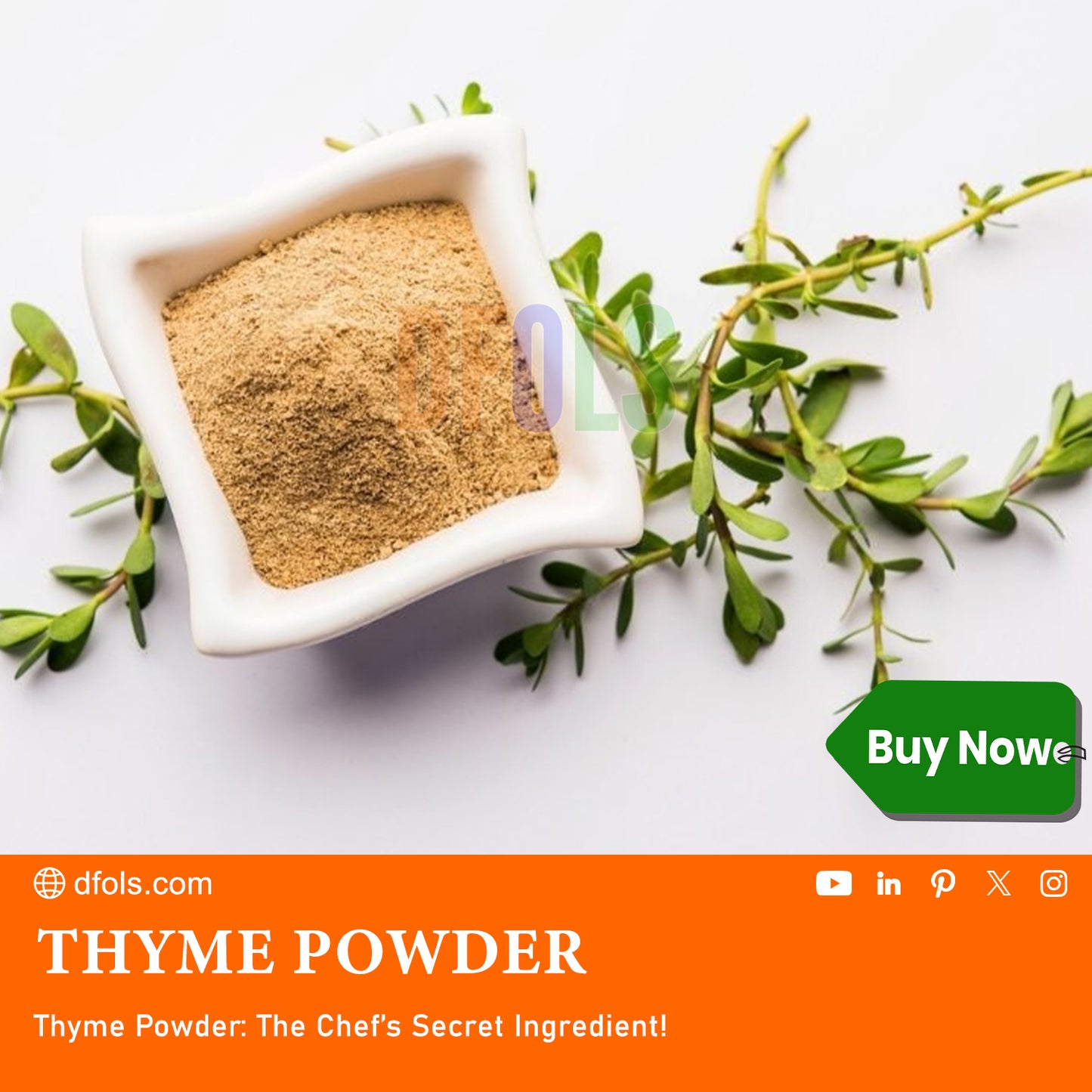 Thyme Powder - A robust, piney flavor with hints of camphor and bitterness. Used in many slow cooked dishes. - DFOLS