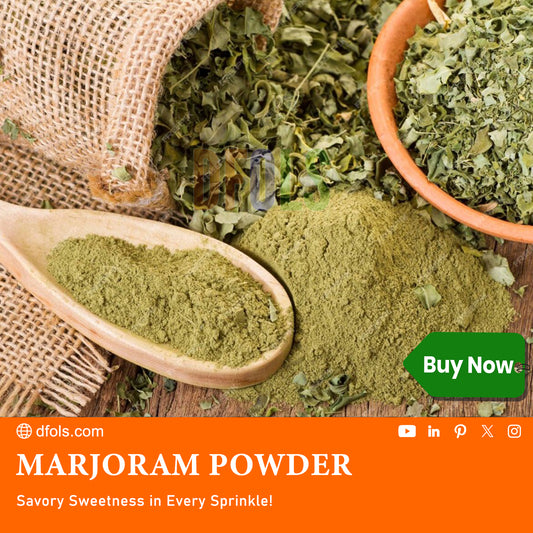 Marjoram Leaves Powder - All Natural Fresh Marjoram Ground - Mediterranean Spice Ideal for Cooking - Vegan & Gluten-Free. - DFOLS
