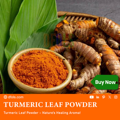 Organic Turmeric Leaf Powder | 100% Pure & Natural Herbal Supplement | Non-GMO | Supports Immunity, Digestion & Overall Wellness | Fine Powder for Daily Health Boost - DFOLS