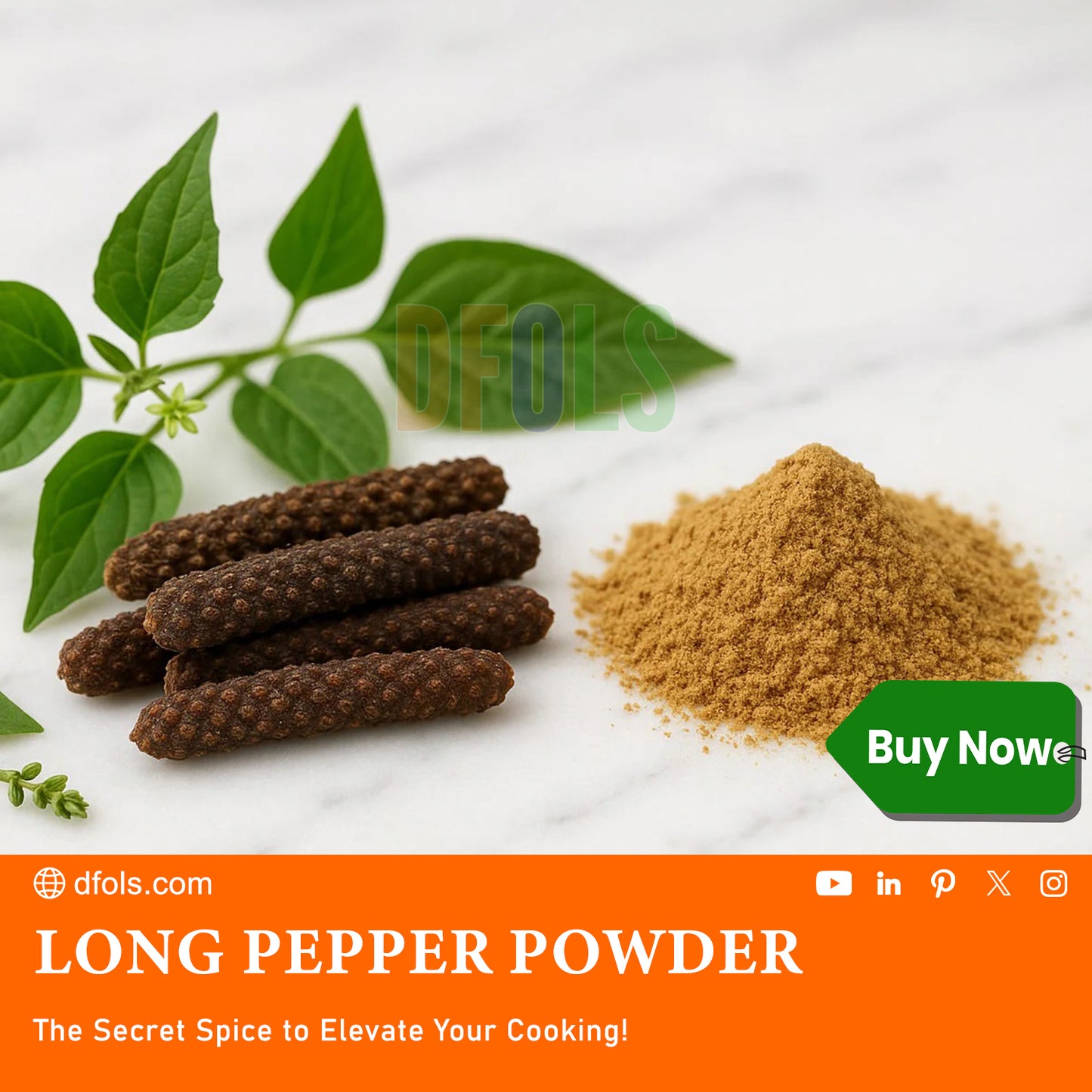Organic Long Pepper Powder | 100% Pure & Natural Spice | Premium Pippali for Cooking, Ayurveda & Wellness - DFOLS