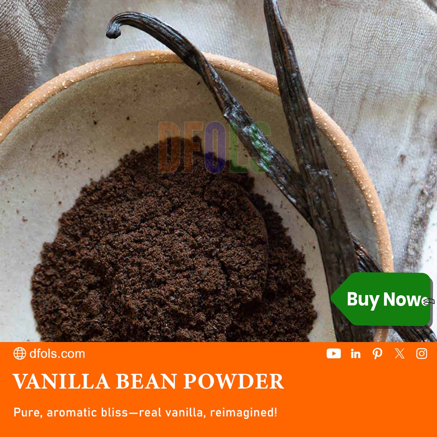 Organic Vanilla Bean Powder 100g (3.5 oz) | Pure & Natural Ground Vanilla | Rich Aroma & Sweet Flavor | Premium Baking Ingredient - DFOLS