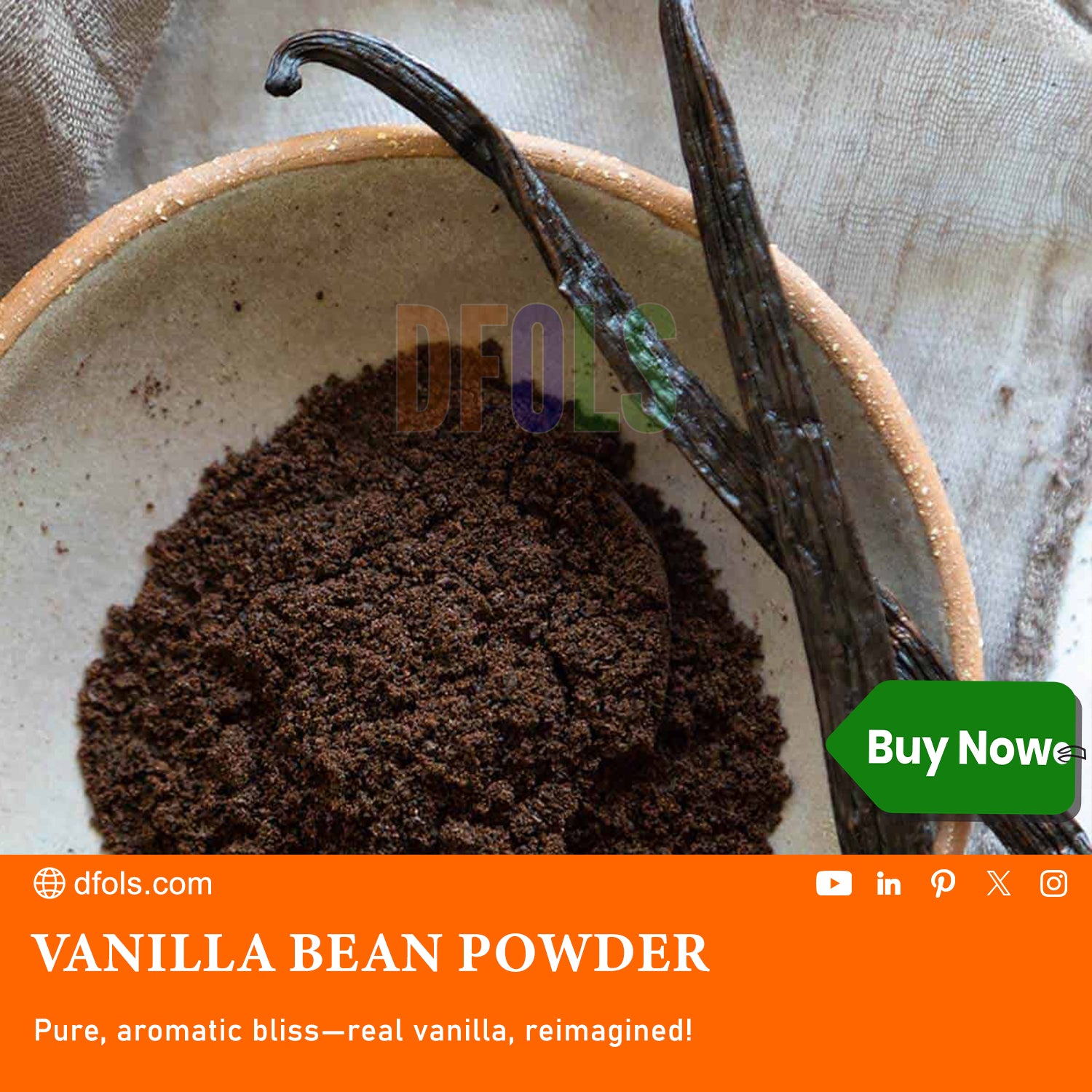 Organic Vanilla Bean Powder 100g (3.5 oz) | Pure & Natural Ground Vanilla | Rich Aroma & Sweet Flavor | Premium Baking Ingredient - DFOLS