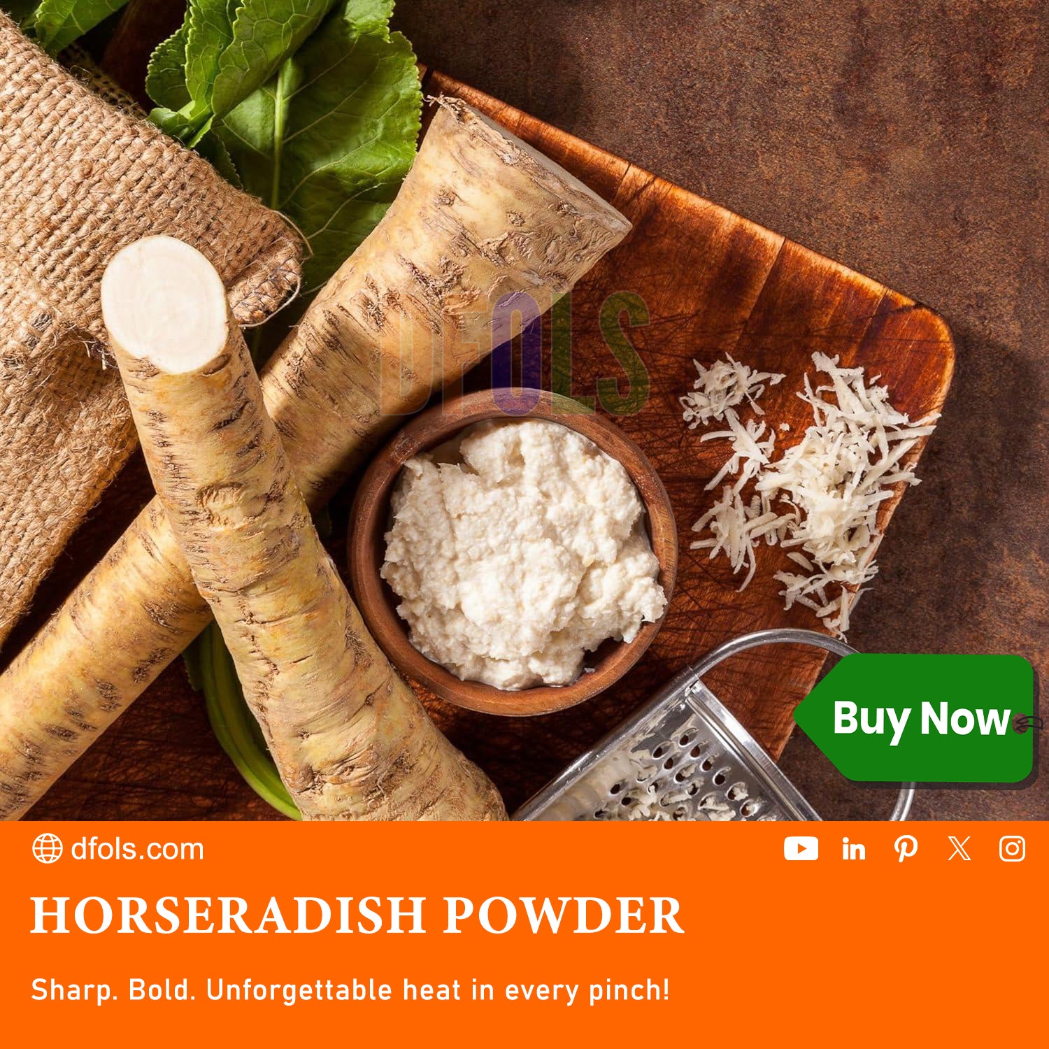 Organic and Premium All-Natural Horseradish Powder – Non-GMO, Gluten-Free, Perfect for Sauces, Dressings, and Spices - DFOLS
