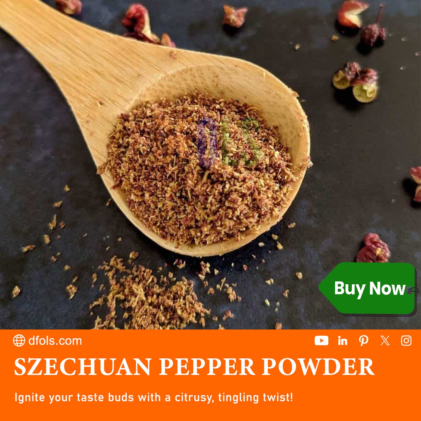 Premium Szechuan Green Peppercorn Powder 1.08 oz | Authentic Sichuan Pepper | Bold Citrus Aroma, Mouth-Numbing Spice | Essential for Mapo Tofu, Kung Pao & Chinese Cooking - DFOLS
