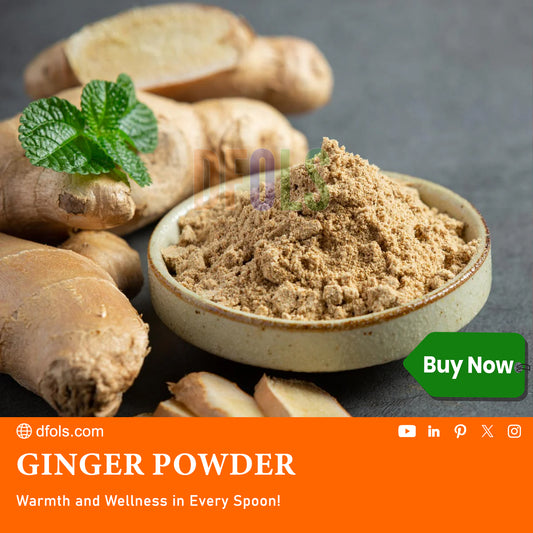 Pure Ground Ginger Powder | Fresh, Zesty & Aromatic | Ideal for Cooking, Baking, Curry, Sauces, Soups, Tea & Health Drinks | Natural Fine Spice for Daily Kitchen Use - DFOLS