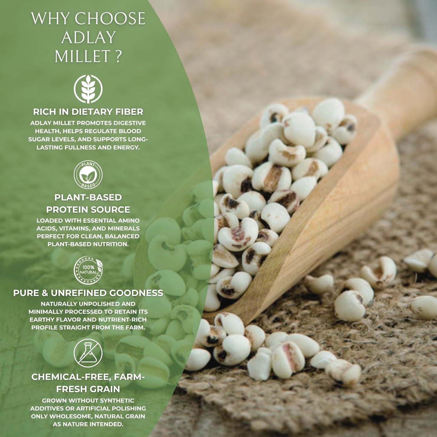 DFOLS Organic Adlay Millet | Natural, Gluten-Free Ancient Grain | High Fiber & Protein | Pesticide-Free, Hand-Picked Premium Millet for Healthy Cooking