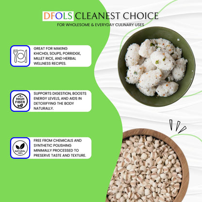 DFOLS Organic Adlay Millet | Natural, Gluten-Free Ancient Grain | High Fiber & Protein | Pesticide-Free, Hand-Picked Premium Millet for Healthy Cooking