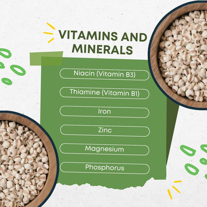 DFOLS Organic Adlay Millet | Natural, Gluten-Free Ancient Grain | High Fiber & Protein | Pesticide-Free, Hand-Picked Premium Millet for Healthy Cooking