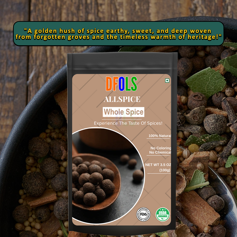 DFOLS Allspice Whole Spice Cooking 0.22lb 3.5oz 100g オールスパイス