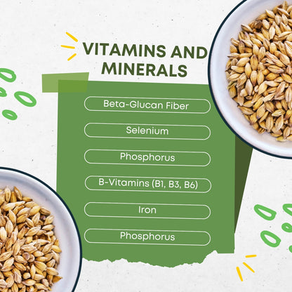 DFOLS Premium Barley | Natural, Non-GMO & Gluten-Free | High Fiber & Protein | Superfood for Digestion, Weight Management, Heart Health & Daily Nutrition