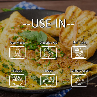 Basil Powder – Tulsi Leaf Powder | All-Natural Fresh Basil Leaves | Pure Mediterranean Seasoning | Vegan, Gluten-Free, Non-GMO | Aromatic Herbal Spice for Cooking & Wellness - DFOLS