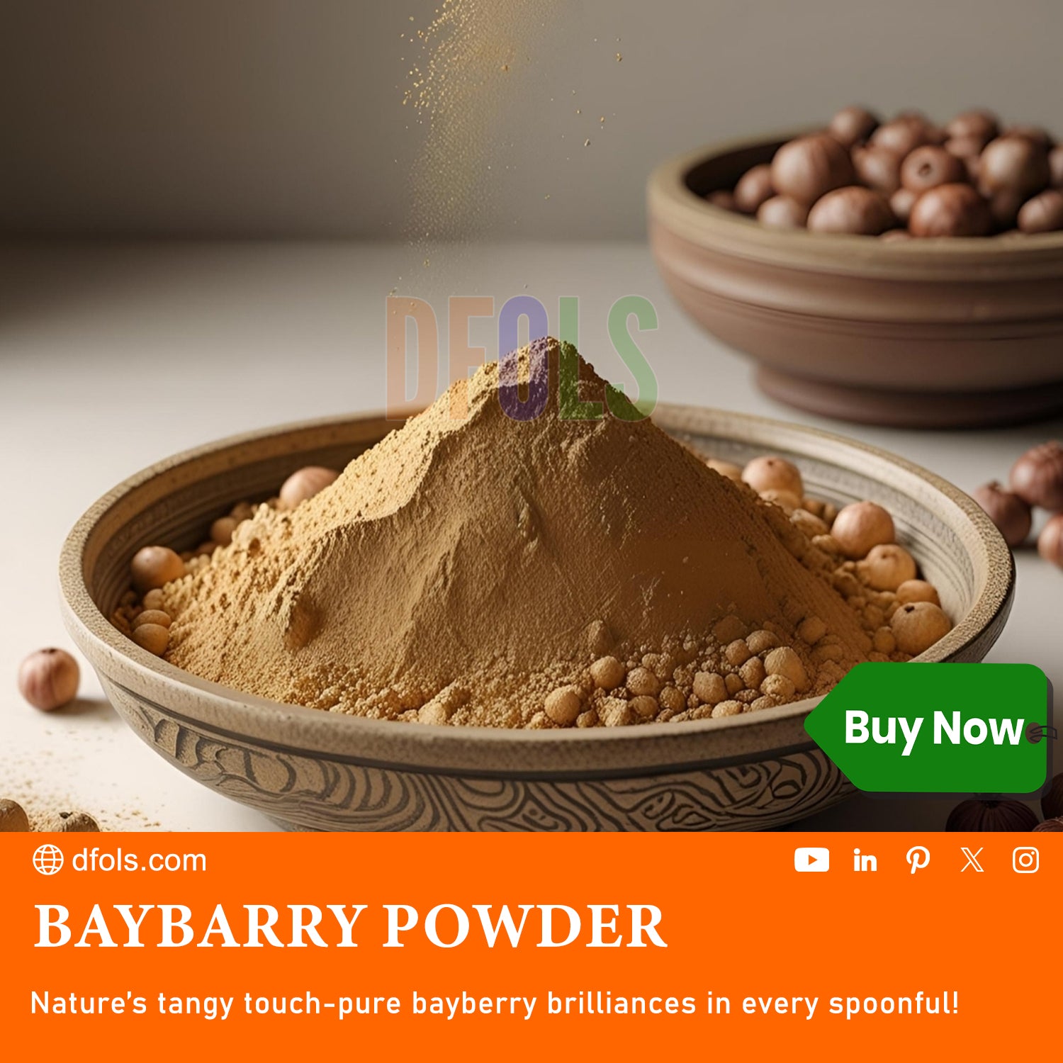 Bayberry Powder – 100% Pure, Natural Herbal Supplement for Wellness and Skincare – Fine Powder for Tea, Capsules, or DIY Beauty Products - DFOLS