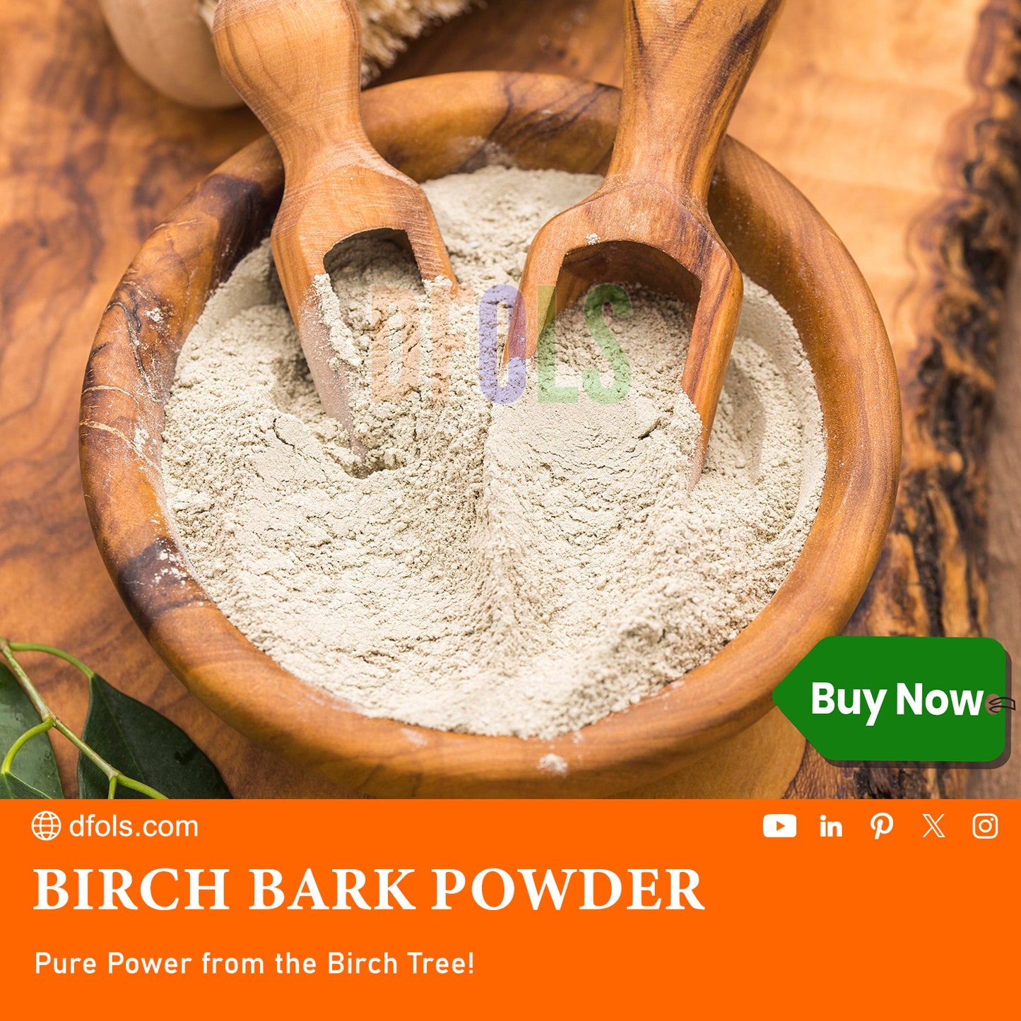 Organic Birch Bark Powder – Natural Health Supplement for Digestive Support, Skin Health, and Immune Boost