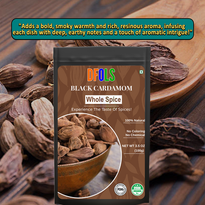 DFOLS Black Cardamom Whole Spice Cooking 0.22lb 3.5oz 100g ブラックカルダモン