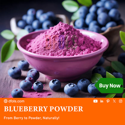 Pure Organic Blueberry Powder – Nutrient-Rich Superfood for Smoothies, Baking, and Health Benefits