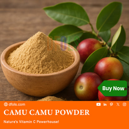Pure Organic Camu Camu Powder – Rich in Vitamin C & Antioxidants for Immune Support & Health Benefits