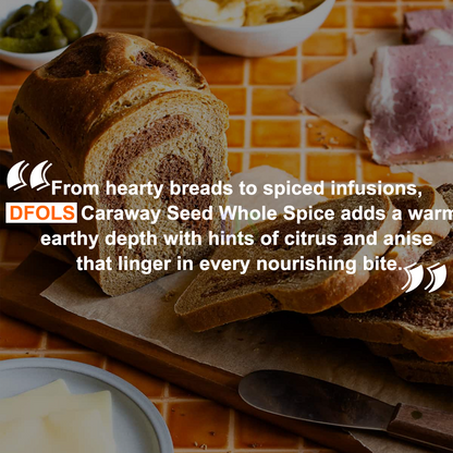 DFOLS Caraway Seed Whole Spice Cooking 0.22lb 3.5oz 100g キャラウェイシード
