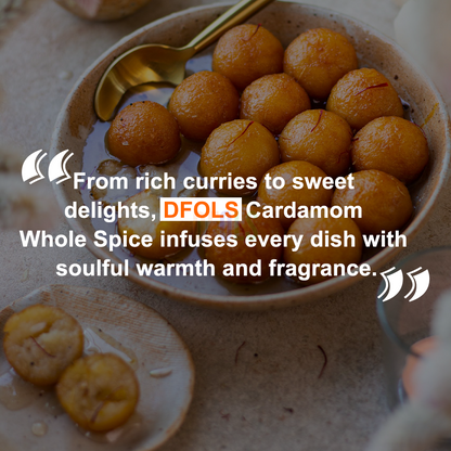DFOLS Cardamom Whole Spice Cooking 0.22lb 3.5oz 100g カルダモンパウダー