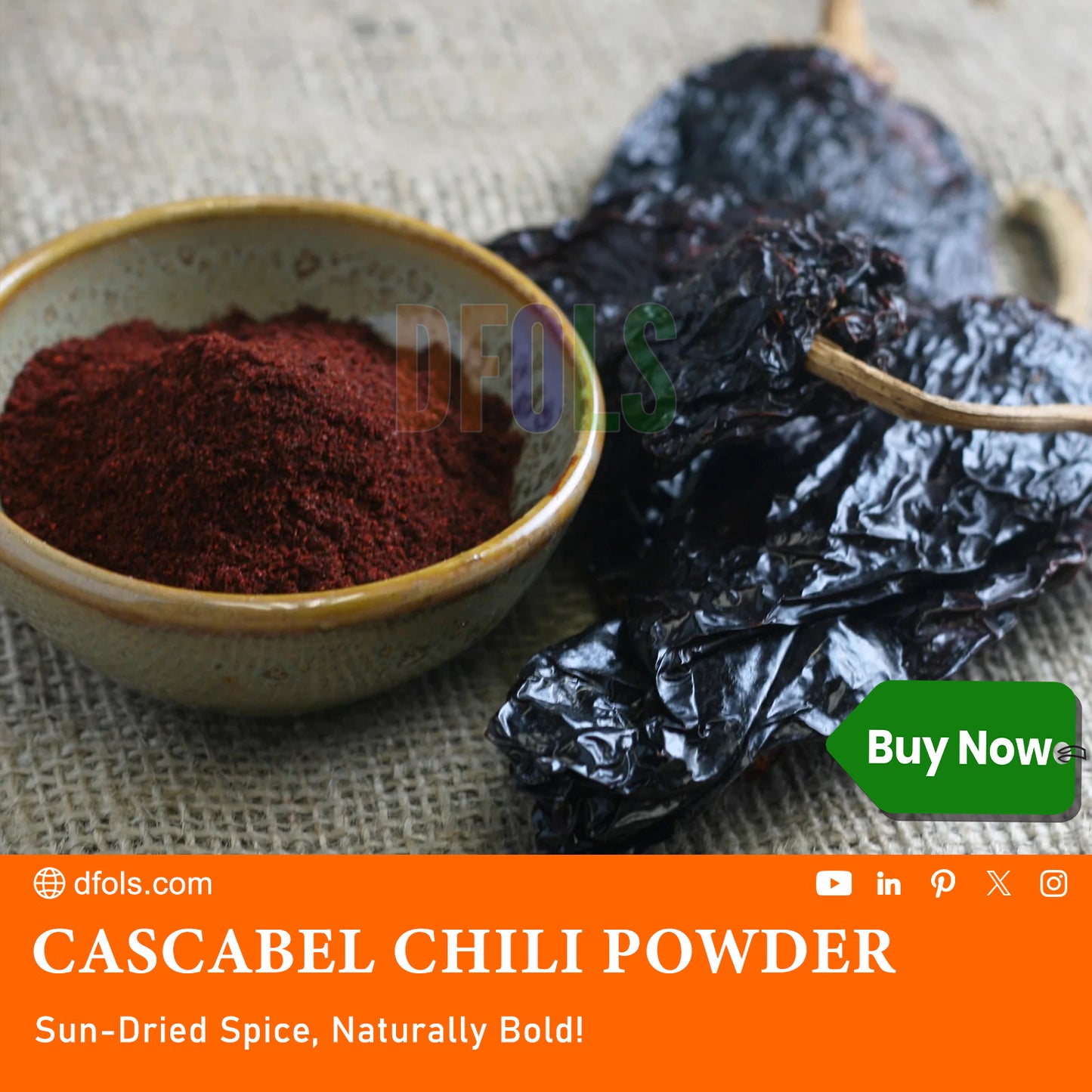 Cascabel Dried Whole Chile Seco Peppers – Authentic Mexican Chili Pods for Traditional Cooking, Sauces, Salsas & Seasoning – Premium Quality Dried Cascabel Chiles - DFOLS