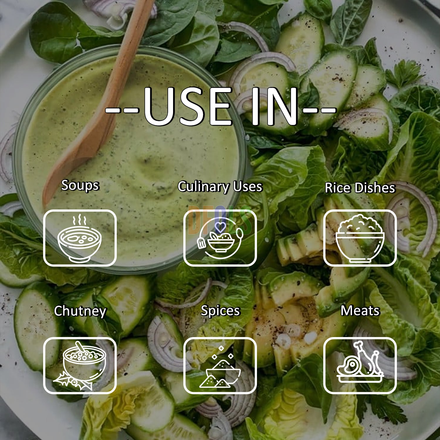 Premium Chervil Powder – 100% Pure & Natural Culinary Herb | Fresh, Aromatic Seasoning for Cooking, Soups, Sauces & Gourmet Recipes | No Additives, Fine Texture - DFOLS