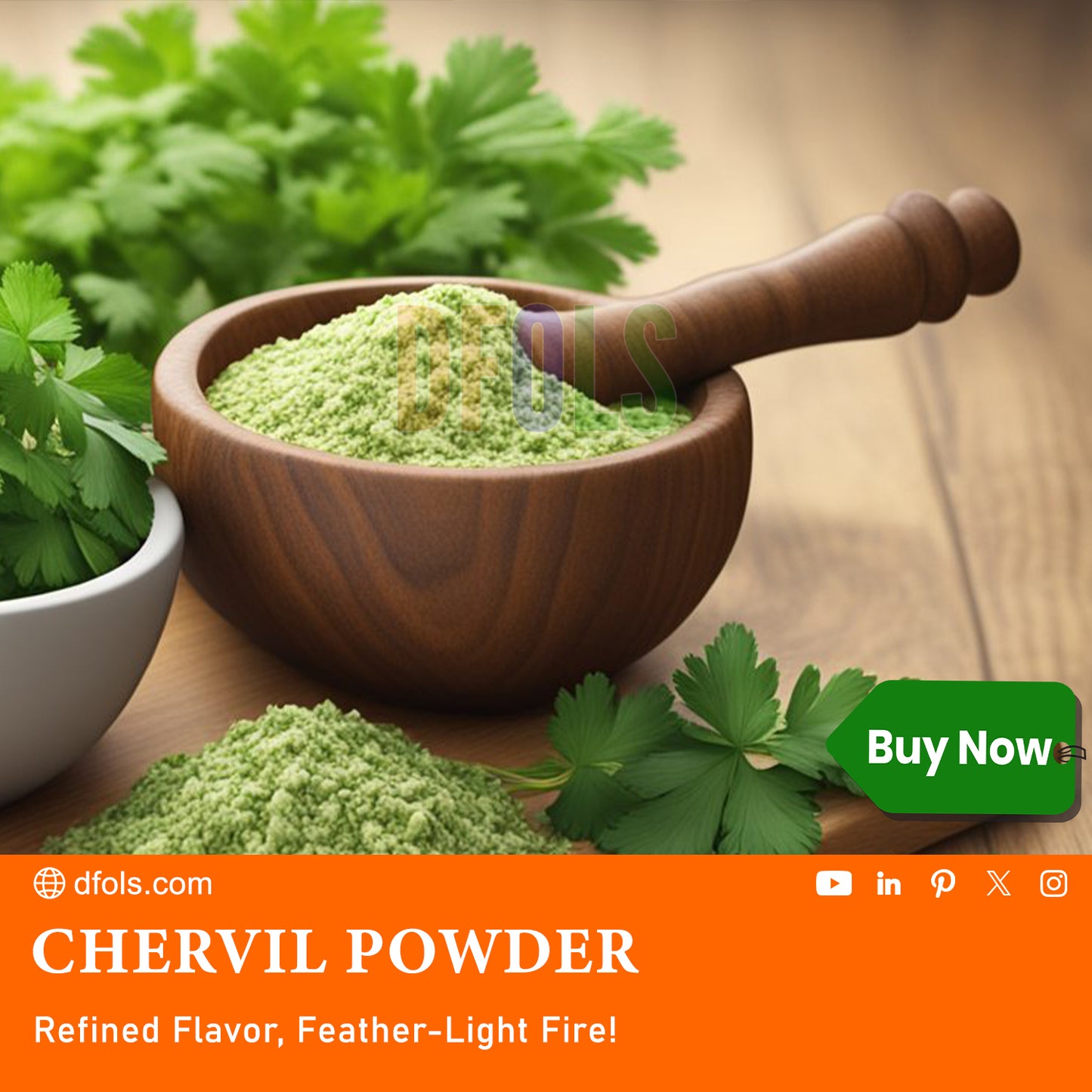 Premium Chervil Powder – 100% Pure & Natural Culinary Herb | Fresh, Aromatic Seasoning for Cooking, Soups, Sauces & Gourmet Recipes | No Additives, Fine Texture - DFOLS