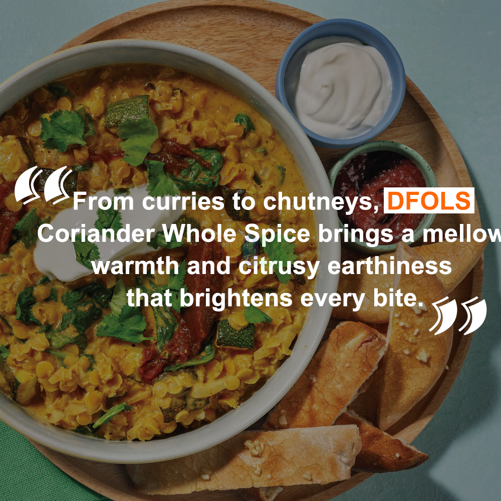 DFOLS Coriander Whole Spice Cooking 0.22lb 3.5oz 100g コリアンダーパウダー