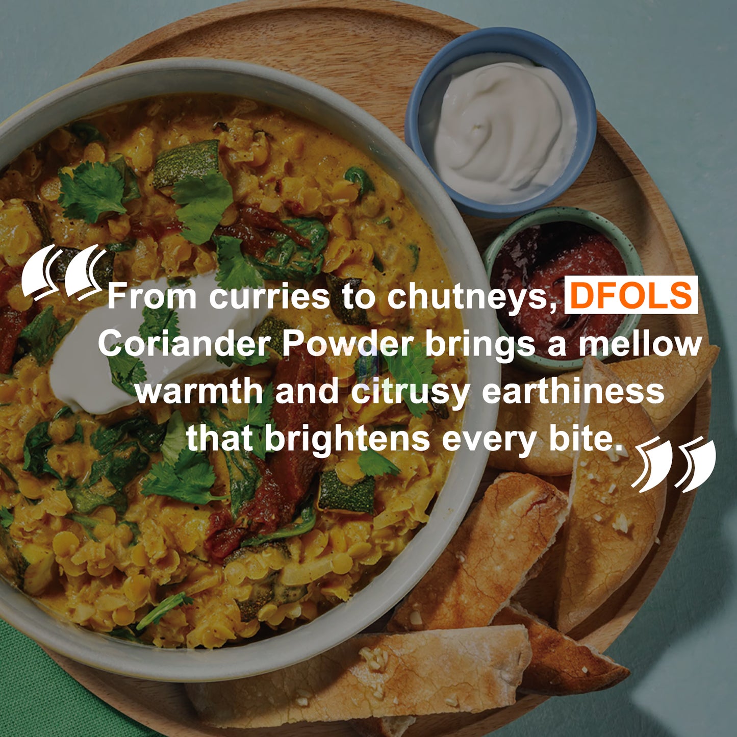 Premium Coriander Powder – Fresh, Aromatic & Flavorful Spice for Cooking, Curries, Soups & Sauces | Pure & Natural Essential Pantry Staple - DFOLS