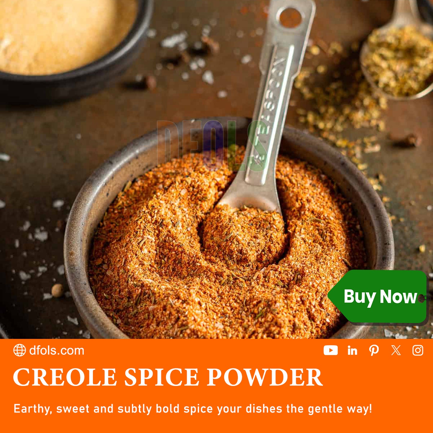 Authentic Creole Spice Powder | All-Natural Cajun Seasoning for Seafood, Meat & Veggies | Gluten-Free, Vegan, Preservative-Free Flavorful Spice Blend - DFOLS