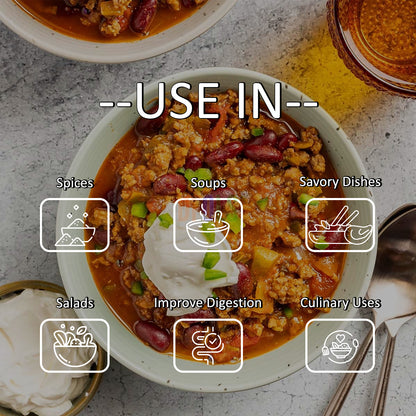 Cuban Chili Powder 4 oz – Organic Smoky & Spicy Cuban Seasoning Blend for Authentic Flavor | Ideal for Rubs, Marinades, Tacos, Soups & Stews | All-Natural Premium Spice - DFOLS