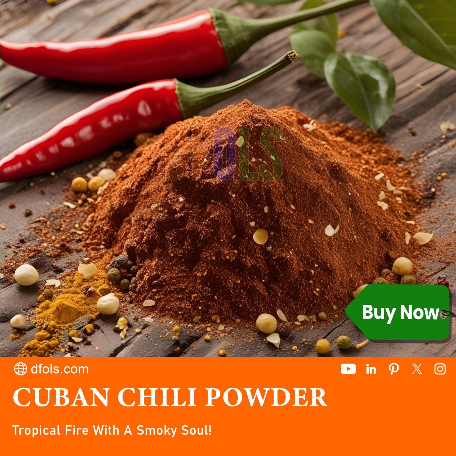 Cuban Chili Powder 4 oz – Organic Smoky & Spicy Cuban Seasoning Blend for Authentic Flavor | Ideal for Rubs, Marinades, Tacos, Soups & Stews | All-Natural Premium Spice - DFOLS