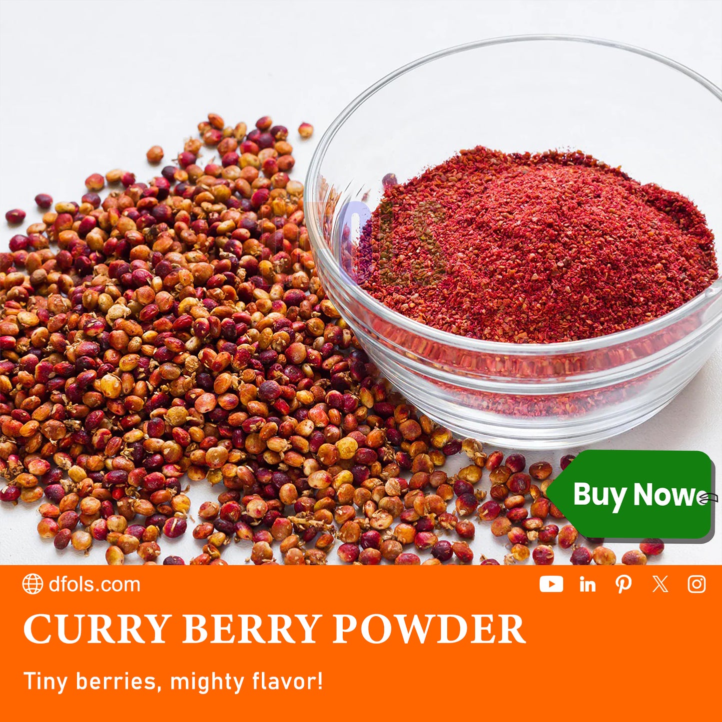 Curry Berry Powder – Premium Superfood for Glowing Skin, Immunity & Daily Wellness | 100% Natural, Antioxidant-Rich, Nutrient-Dense Health Supplement - DFOLS